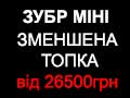 Зубр Холмова Міні