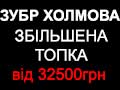 Зубр Холмова